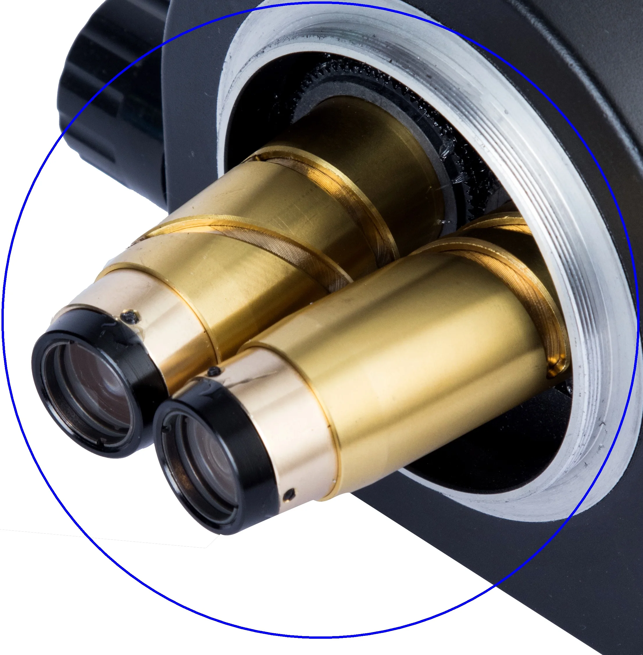 Lucky Zoom Brand New Professional Simul Focal Trinocular Stereo Microscope 2021 Black Green Binocular Trinocular Microscope Soldering Microscopio Lucky Zoom Brand New Professional Simul Focal Trinocular Stereo Microscope 2021 Black Green Binocular Trinocular Microscope Soldering Microscopio