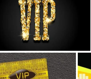 

vip dropshipping 1016Log-10