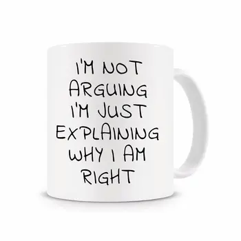 

I'm Not Arguing I'm Just Explaining Mug,Funny Coffee Mug,Office Mug, Work Mug Cup with Stirring Spoon