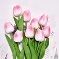 Image 22