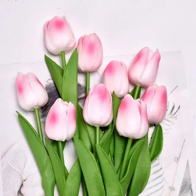 Image 22