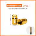 2pcs Golden-Schrader