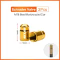 2pcs Golden-Schrader