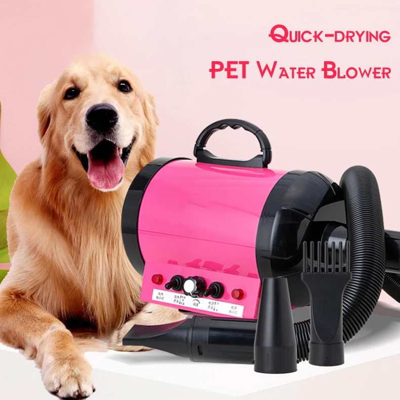 2200W Pet quick drying water blower Dog water blower Large dog