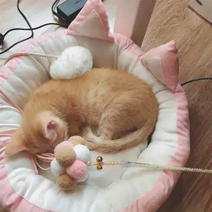 O1CN0112OD6k1LDPWlDcNNY_!!2200548081265.jpg_430x430q90