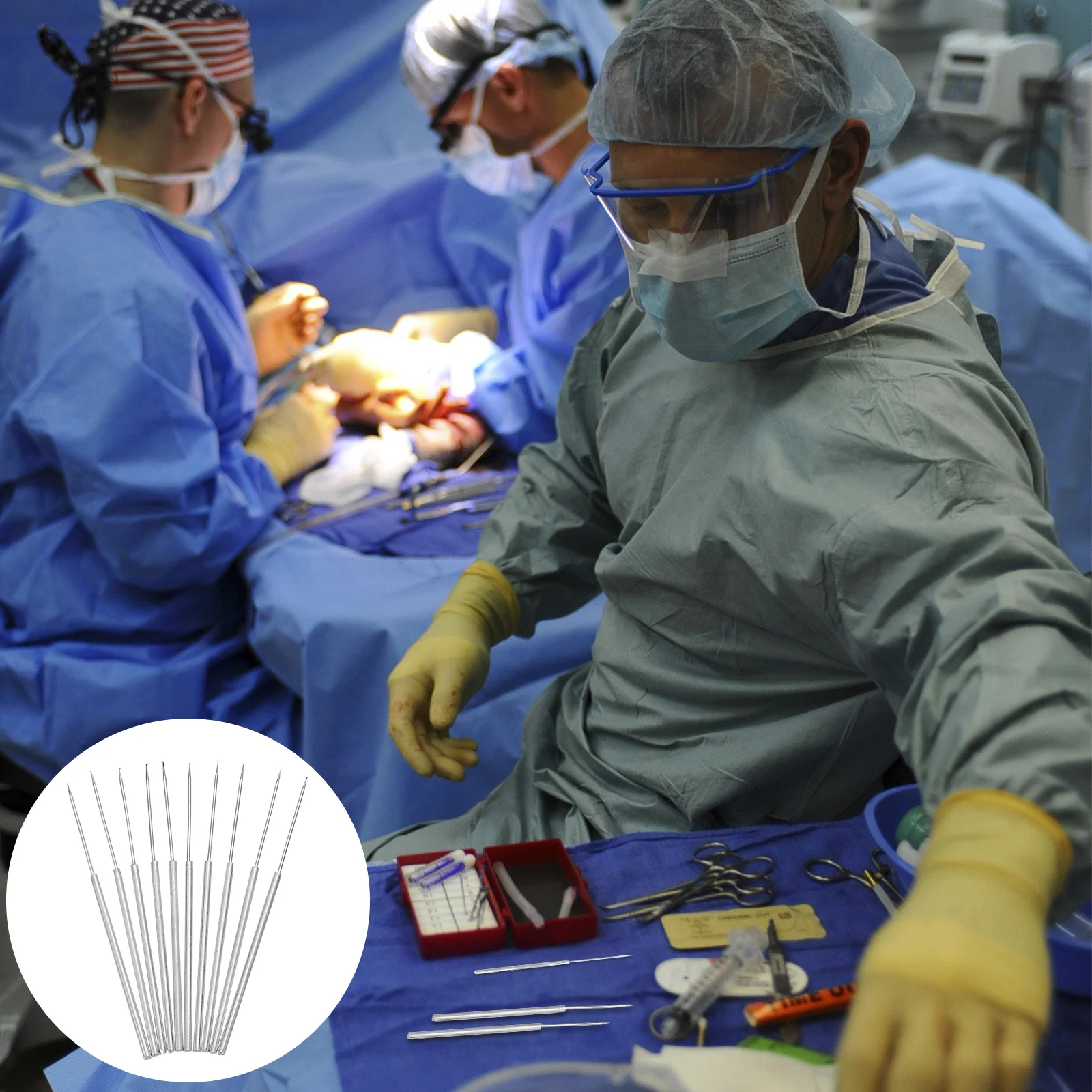 10pcs Insect Dissection Needle Biological Dissecting Needle Anatomy