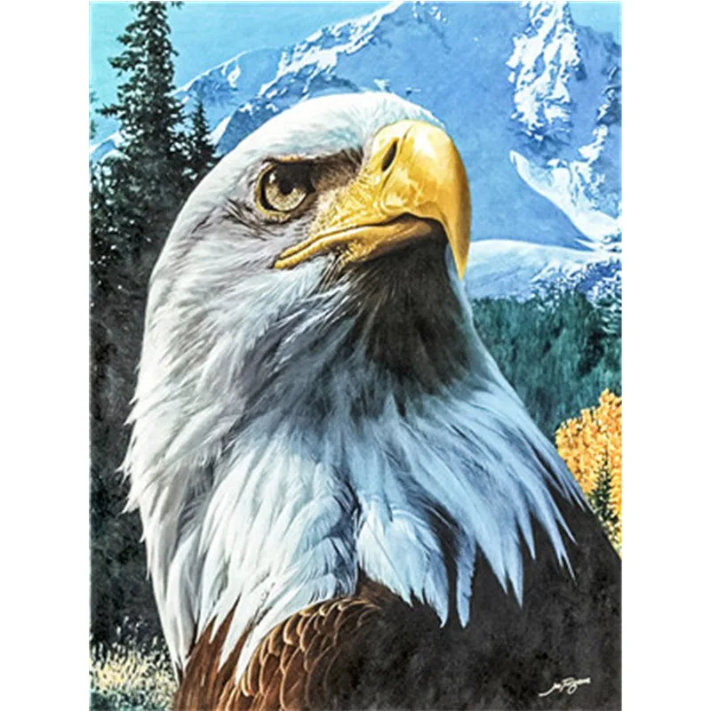 eagle Animals DIY Painting By Numbers Kits Paint On Canvas Acrylic Coloring For Home Wall Decor | Дом и сад