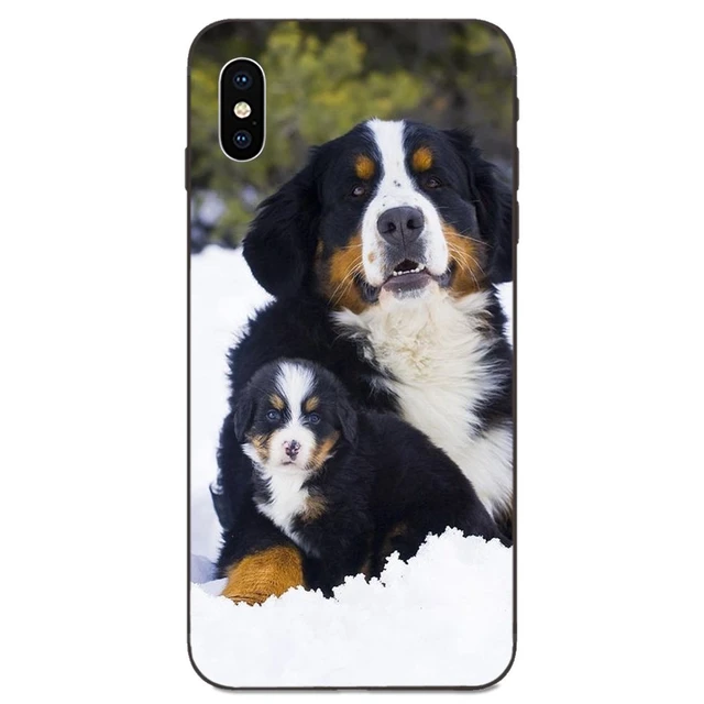 Cute Phone Case Berner Sennen Dog Bernese Mountain For iPhone 4 5S SE