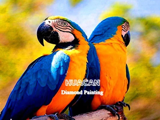 HUACAN 5D DIY Алмазная вышивка попугай животные мозаика Живопись горный хрусталь картина Полное квадратное сверло подарок - Цвет: 5266
