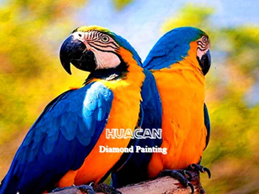 5266 HUACAN 5D DIY Алмазная вышивка попугай животные мозаика Живопись горный хрусталь картина Полное квадратное сверло подарок - Цвет: 5266