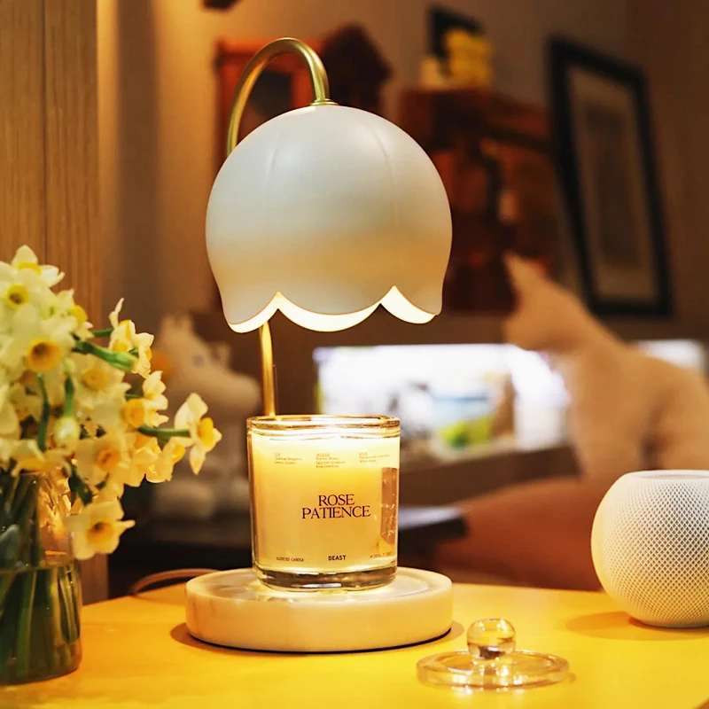 PROD 1005003234364689 Lily Lampshade Candle Melting Wax Lamp Bedroom
Candle Warmer Lamp Romantic Light luxury Bedroom Bedside Fragrance Desk
Lamp