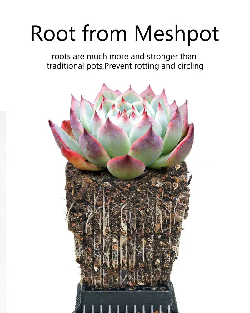 MESHPOT 6 Pack пластиковый квадратный суккулентный горшок/горшок для растений кактуса