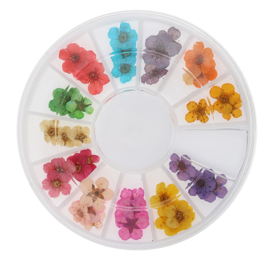 12 Colors Real Dry Dried Flower for 3D UV Gel Acrylic False Tips Nail Art Salon