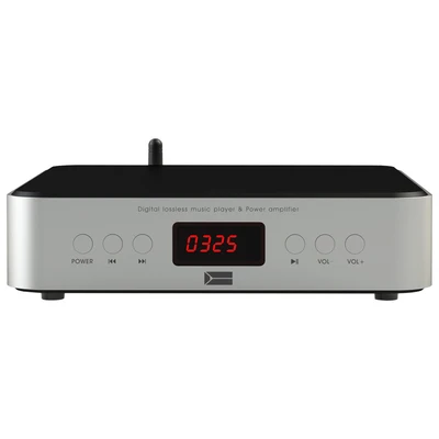 USB аудио неразрушительный музыкальный плеер Домашний Hifi Fever чистый цифровой ротационный Настольный декодер цифровое вещание - Color: White