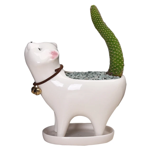 Pot De Fleur En Queue De Chat Creatif Mignon Avec Planche En Ceramique Succulent Sans Plantes Pour Decoration De Salle De Bureau Aliexpress