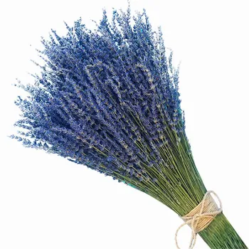 

100-120g ,45-50cm Lavender Natural Dried Preserved Dancing Flowers,Real Forever Flower Grass Branch For Home Decor Wedding