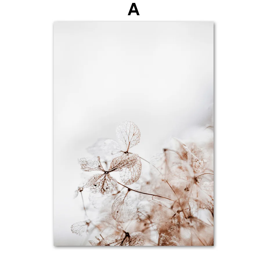 A Autumn Grass Kapok Dandelion Reed Flower Wall Art Canvas Painting Nordic Posters And Prints Wall Pictures For Living Room Decor - Цвет: A