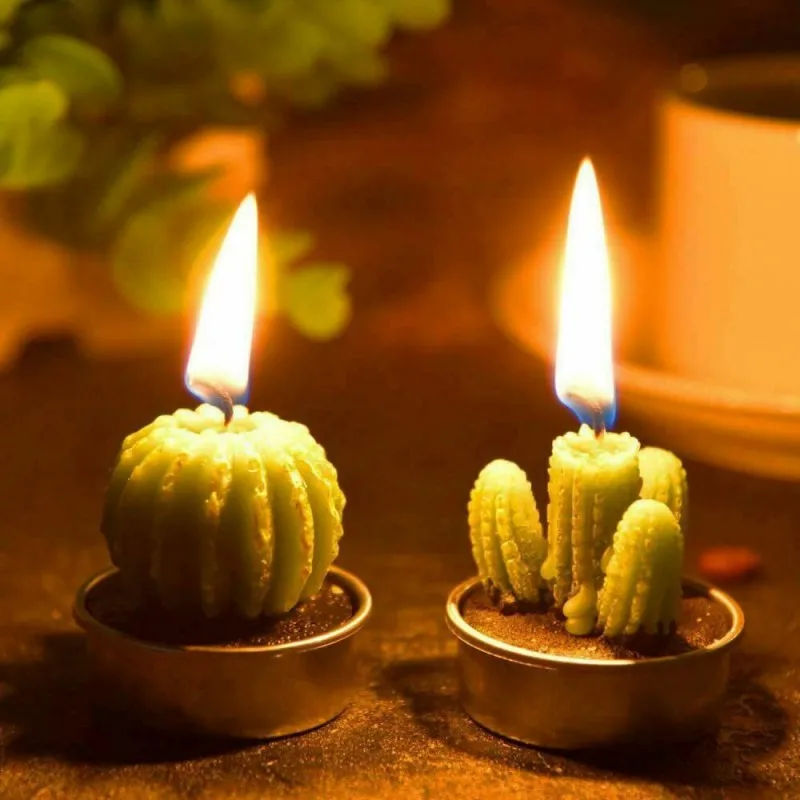 

L12pcs Artificial Succulent Plants Cactus Candle For Family Decoration Birthday Party Wedding Site Decoration Candlelight Feast