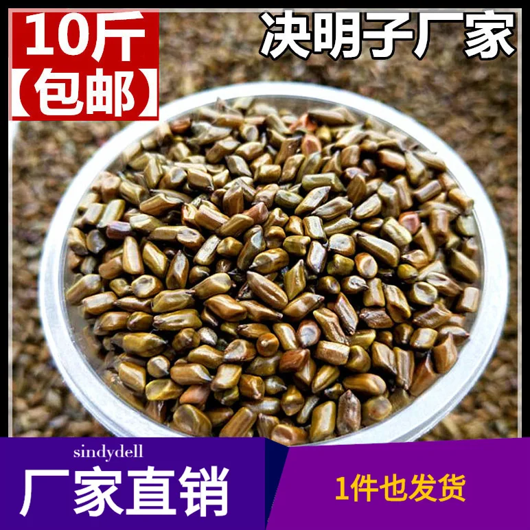 

Summary Toy Sets Sandbox Ming Zi 10 in Bulk Children Play Sand Beach Toys Household Fence Dredging Tool
