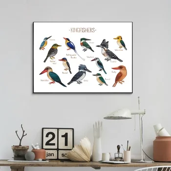 

Watercolor Birds Animal Poster Kingfishers Field Guide Ornithology Wall Art Home Decoration Wall Art Canvas Print No Frame