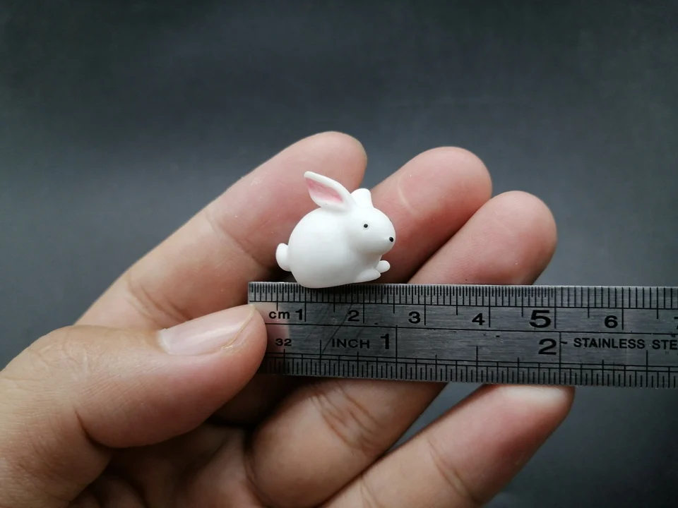 Tiny-A249 (9)