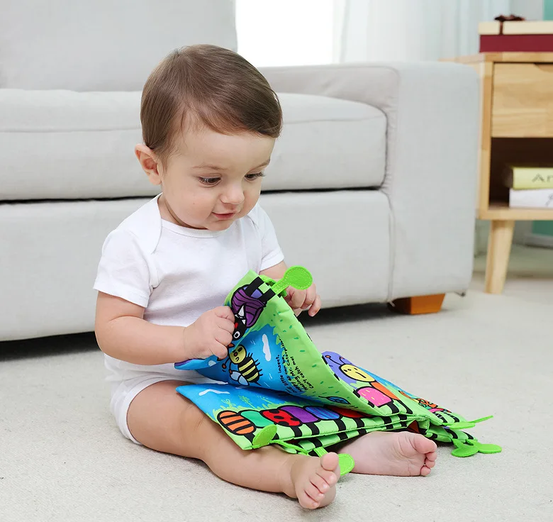 9031236235_1731816815