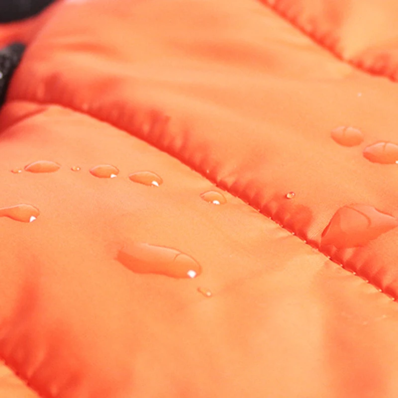 21717277008_644690080