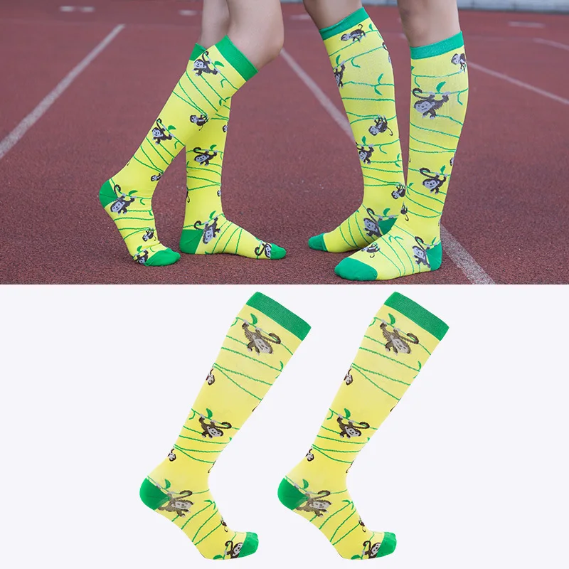 Brothock-��⼺�� ���� ������ ���뽺, �߿� �й� ��Ÿŷ, ���� ���� ����Ʈ, ������ �縻