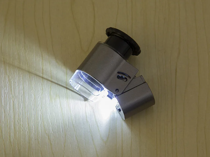 6070340313_703890342