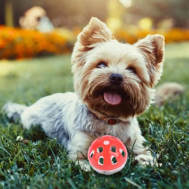 1pcs Multicolor Pet Toys Cat Toy Ball Plastic Hollow Bell Pet Ball Toy Pet Supplies Cat Toy Kattenspeelgoed Jouet Chat