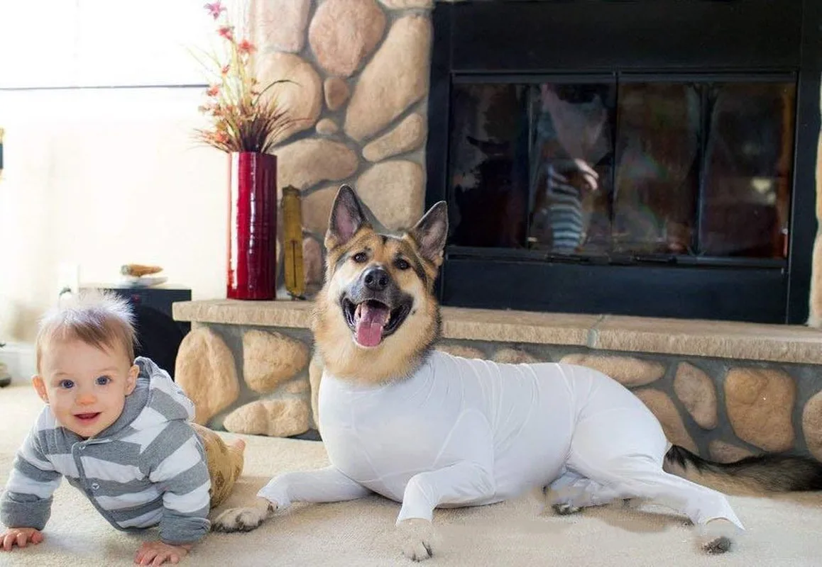 medium sized dog jackets