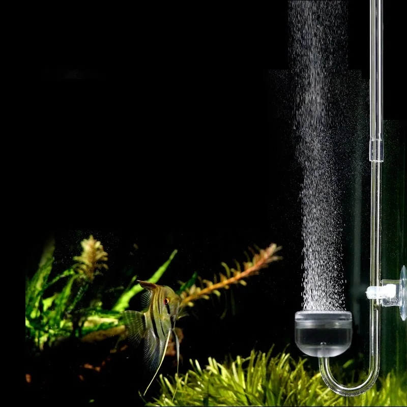 is er Blootstellen Staat Aquarium CO2 Diffuser Verstuiver Keramische Schijf Raffinaderij CO2 Bubble  Counter Terugslagklep Voor Aquarium Geplant Tank Aquarium Accessorie -  AliExpress Huis & Tuin