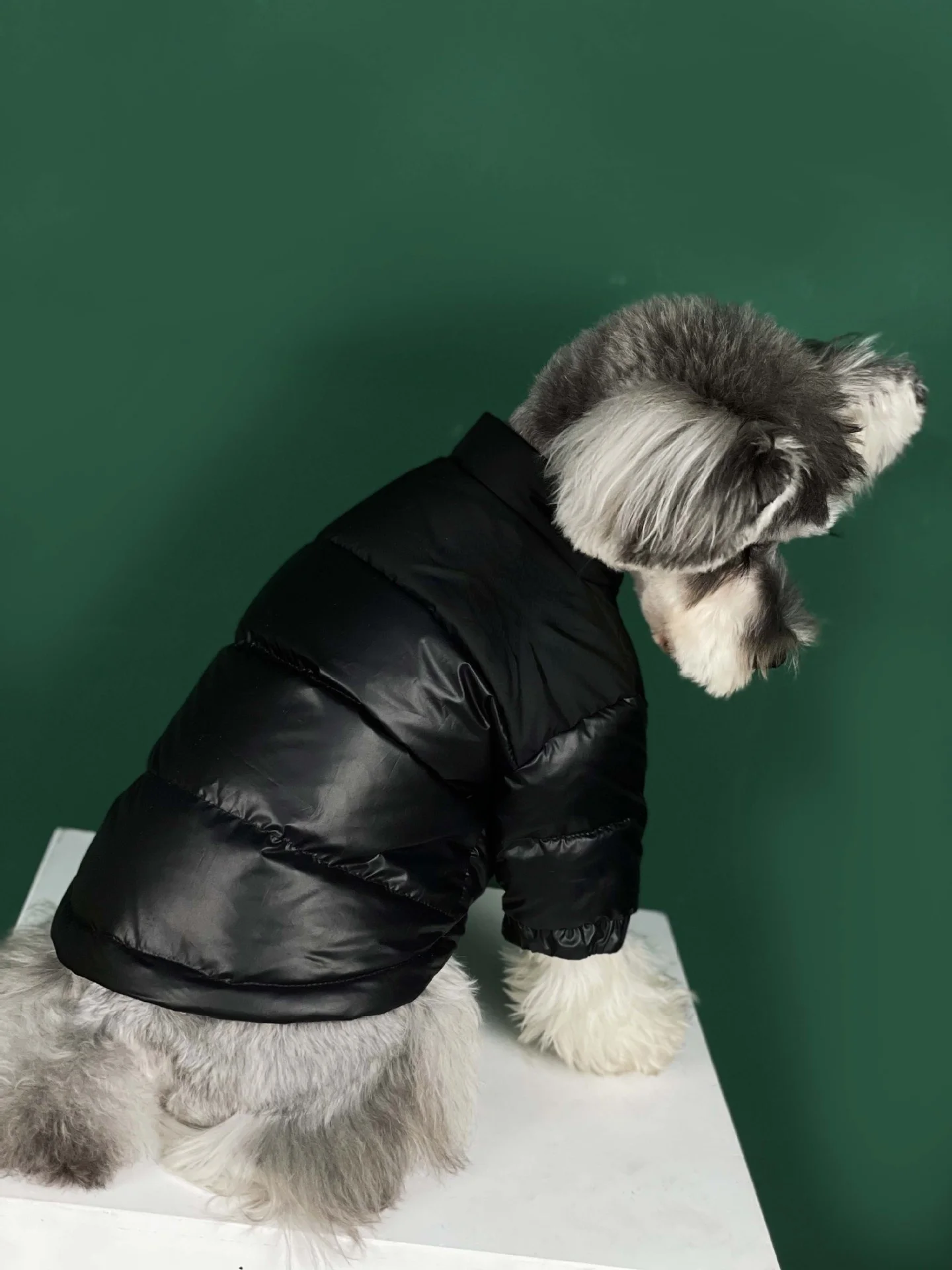 north face puffer jacket dog