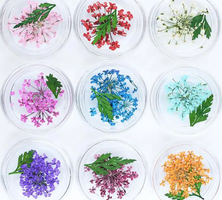 12Boxes/Set Charm Natural Dry Flower Decal Nail Art 3D Dried Real Flora Flowers With Leaf DIY False Nail Decoration Dried Flower