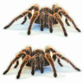 

3D Spider Lizard Scorpion Car Sticker 3D animal pattern Vehicle Window Mirror Bumper Decal Decor Water-resistant