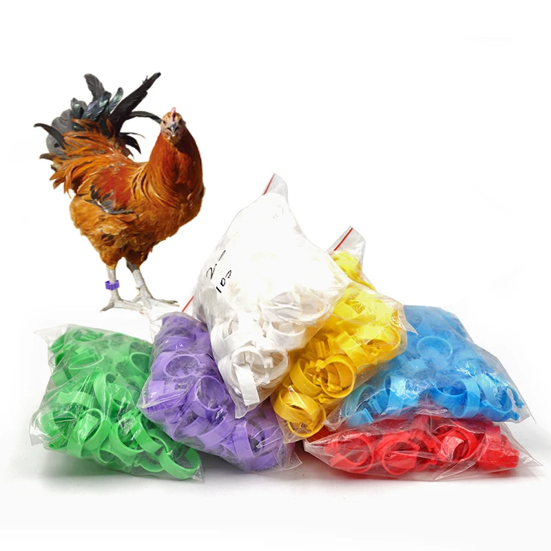 500Pcs Poultry Chicken Foot Ring Inner Diameter 20mm 6Colors Without Word Light weight Freedom of Action Identification | Дом и сад
