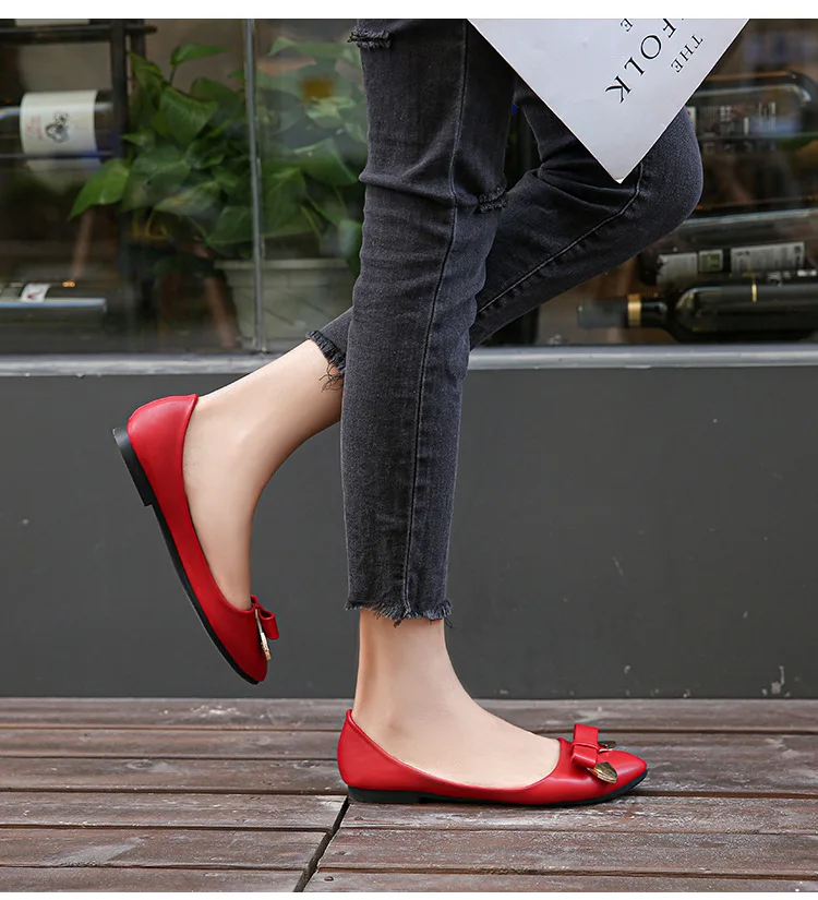 13195861636_491316973