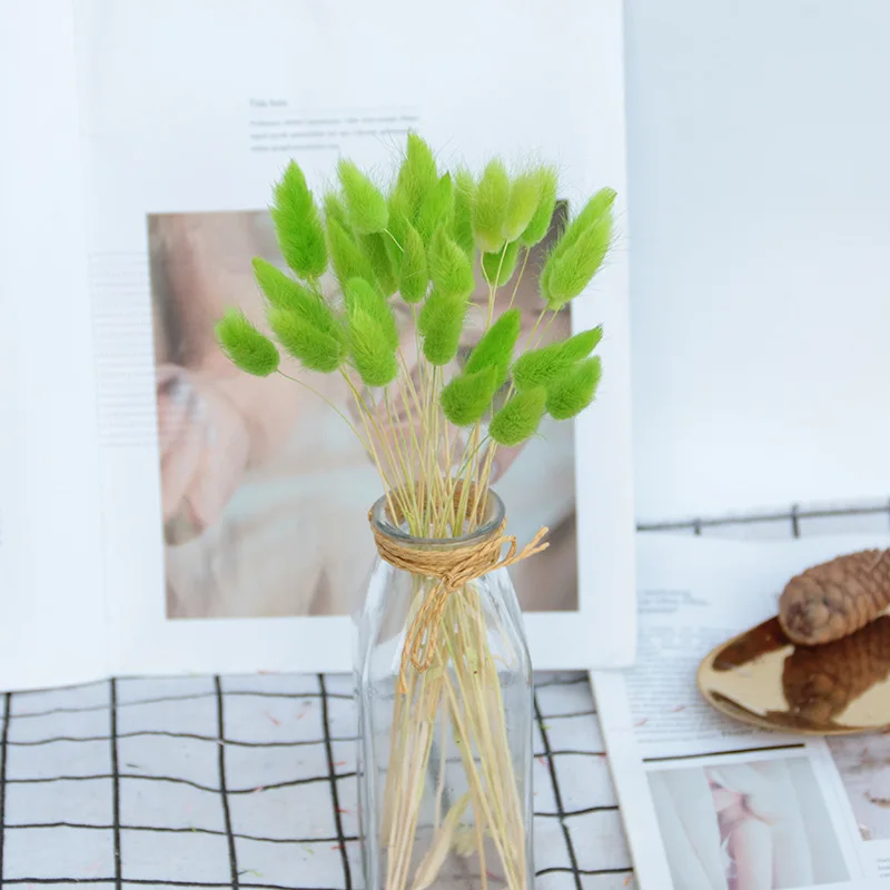 11148283953_1442471722