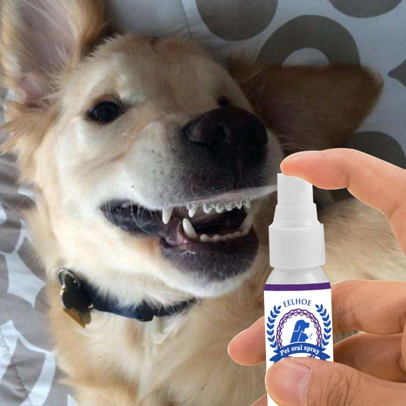 30ML font b Pet b font Breath Freshener Spray Dog Teeth Cleaner Dog Cat Oral Healthy
