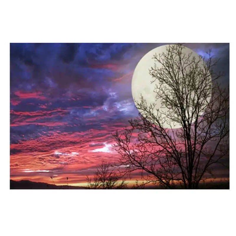 

5D Diamond Painting Kits for Adult Full Drill Paint with Diamonds Pictures Arts Q6PE