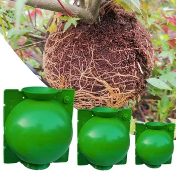 

5pcs Plant Rooting Ball Grafting Rooting Growing Box Breeding Case for Garden DTT88