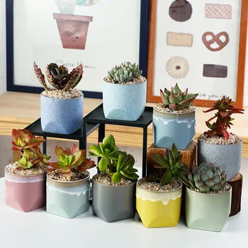 

Colorful and creative succulent ceramic flowerpot with high temperature, small fresh air permeability and lovely succulent plant