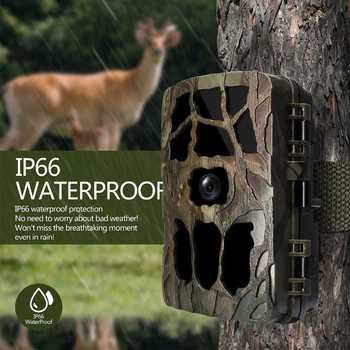 

Hunting Camera Infrared Trail Camera Night Vision Forest Waterproof Wildlife Camera Photo Traps Camera Chasse