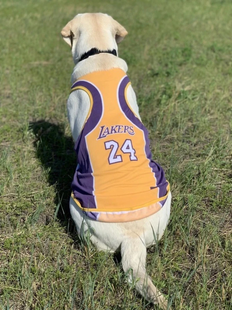 Ha5734d815c4d4451b0ebce7d4efeeab5h.jpg?width=800&height=1067&hash=1867