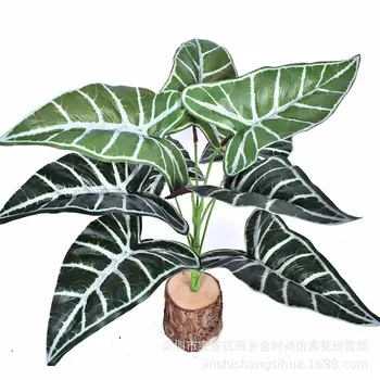 

Model Alocasia Leaf 9 Head in Large Green Plant Bundle of Potted Plant Model Plant Wall with Wood Top Grade Plants