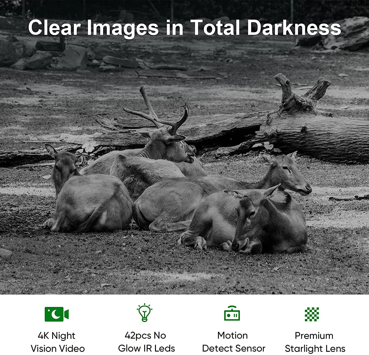 Slide image 2751977a3f644c15985b4e6d9a901692