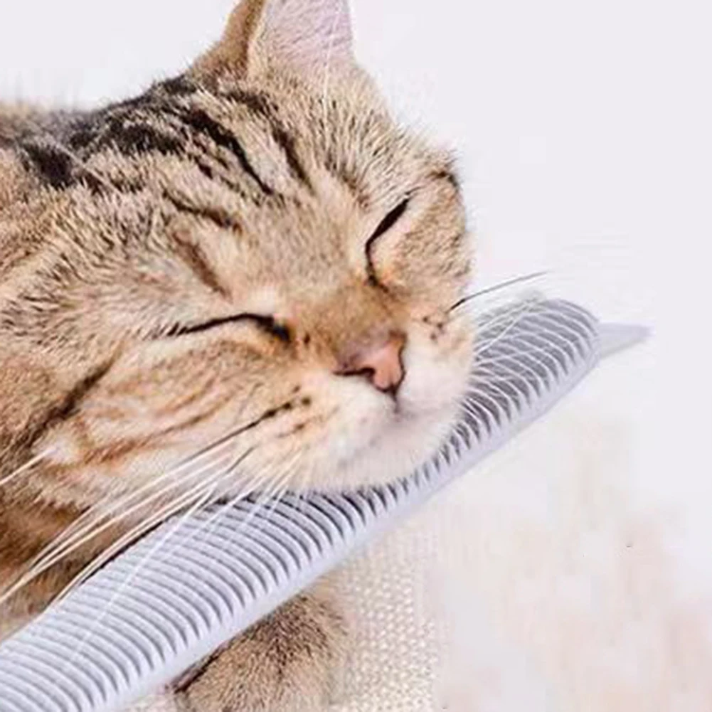 New Simulated Cat Tongue Comb Portable Soft Tongue Real Touch Hair Care Tools Simulation Cat Brush Massage Pet Grooming Supplies New Simulated Cat Tongue Comb Portable Soft Tongue Real Touch Hair Care Tools Simulation Cat Brush Massage Pet Grooming Supplies