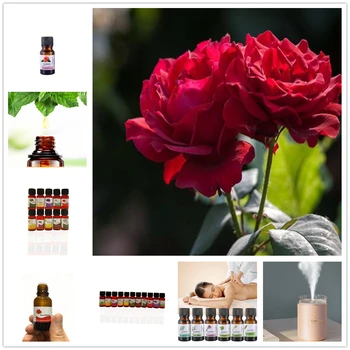 

Camellia Fragrance Aromatherapy Essential Oils Cold Press Plum Blossom Aromatherapy Oil for Diffuser Humidifier Essential Oil