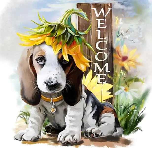 36020190310164521766