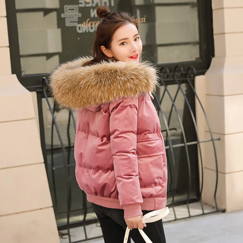 

2019 Winter Hooded Fur Collar Cotton Overcoat Women's down Coat Fashion Warm Cotton-padded Jacket down Jacket Cotton-padded Clot
